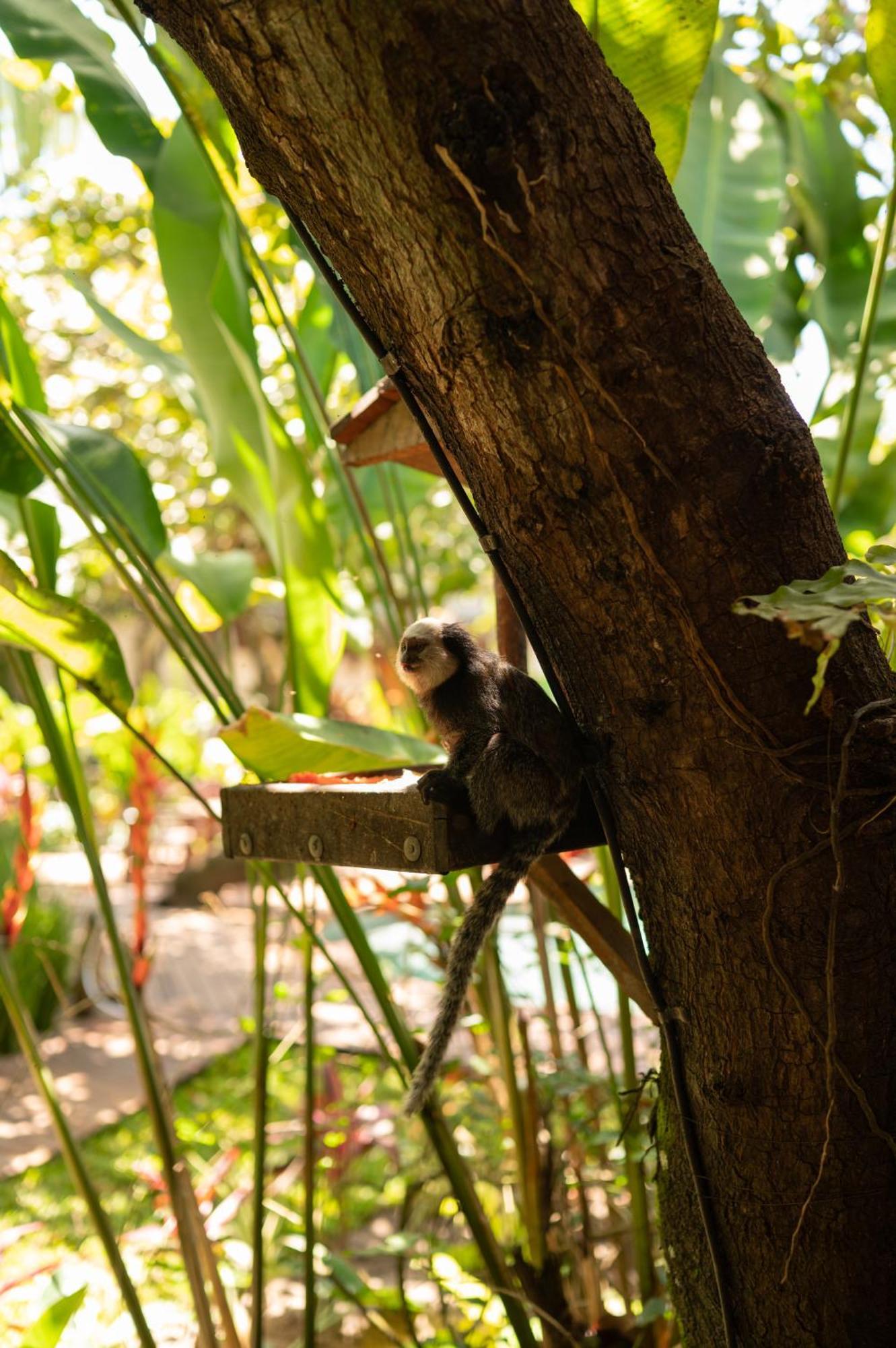 Pousada Nativa Caraíva Esterno foto